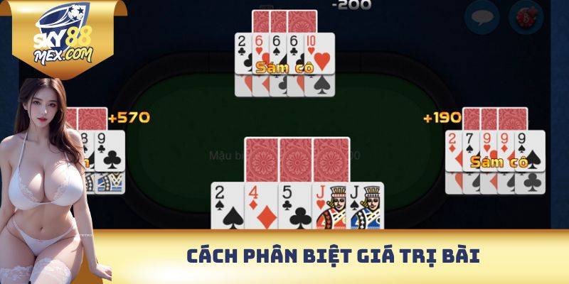 Cách phân biệt giá trị bài