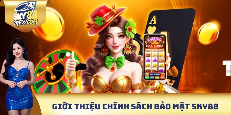 Tìm hiểu về chính sách bảo mật nhà cái Sky88