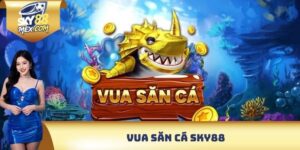 vua săn cá